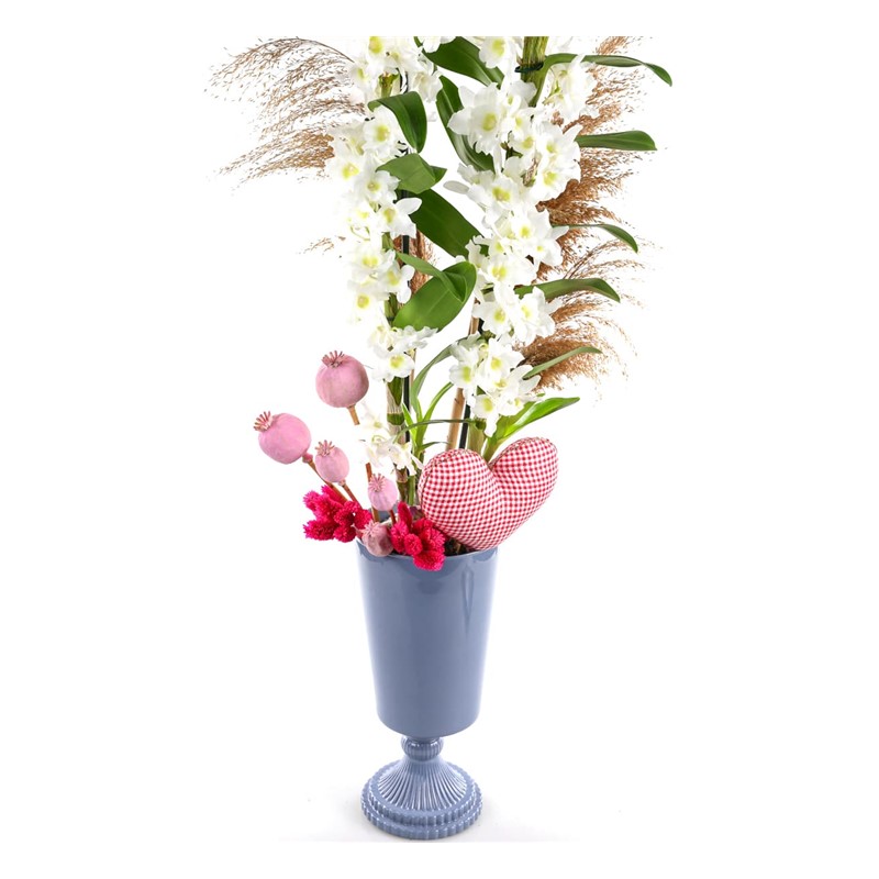 Love Dendrobium