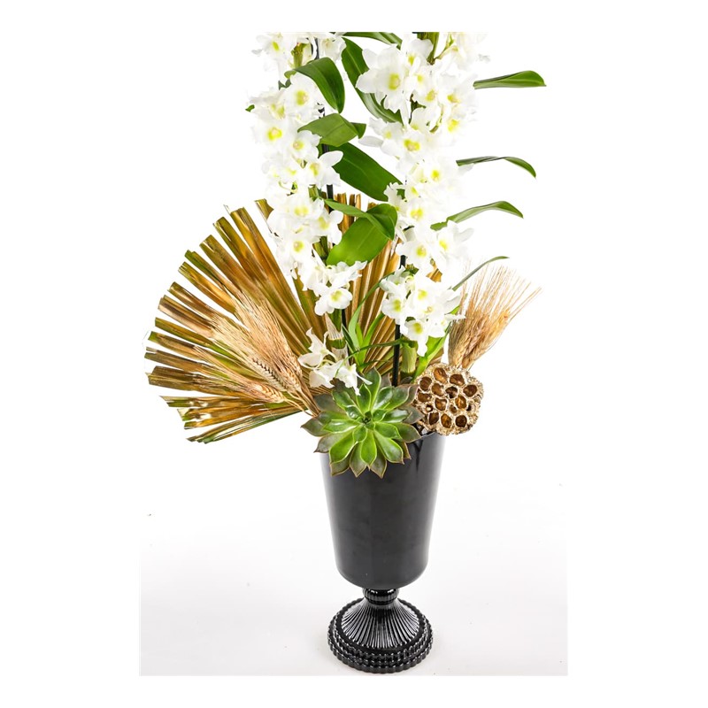 Royal Dendrobium Orchid