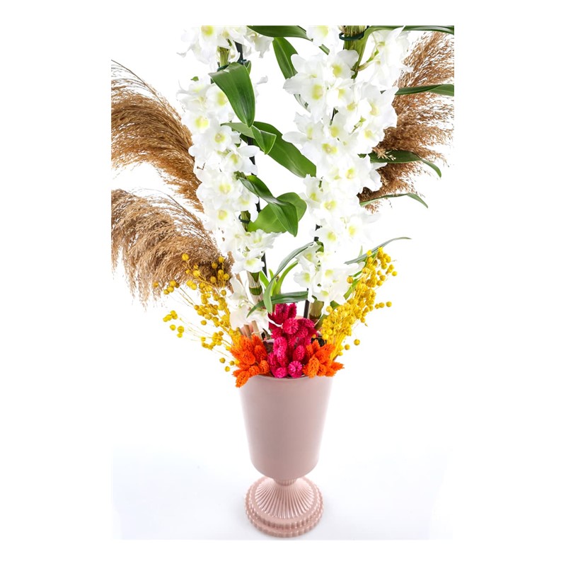 Cool Orchid