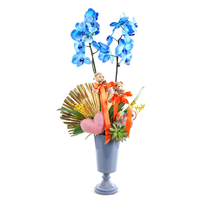 Teddy Bear Blue Orkide