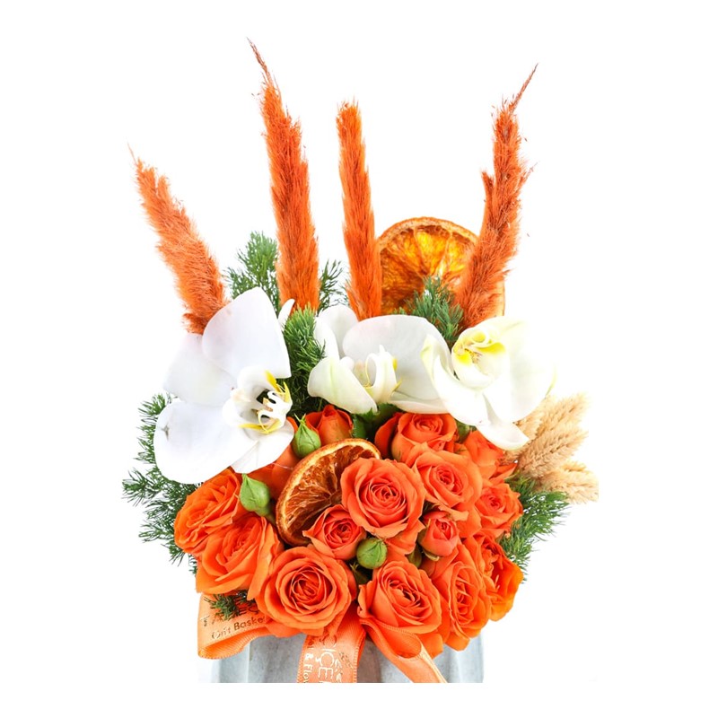 Orange Purity