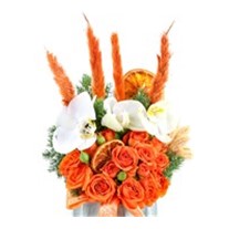 Orange Purity