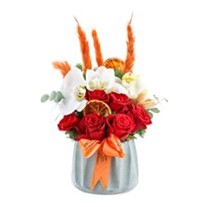 Red Vellet Purity