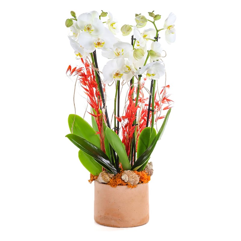 Bakır Design Six Bloom Orkide