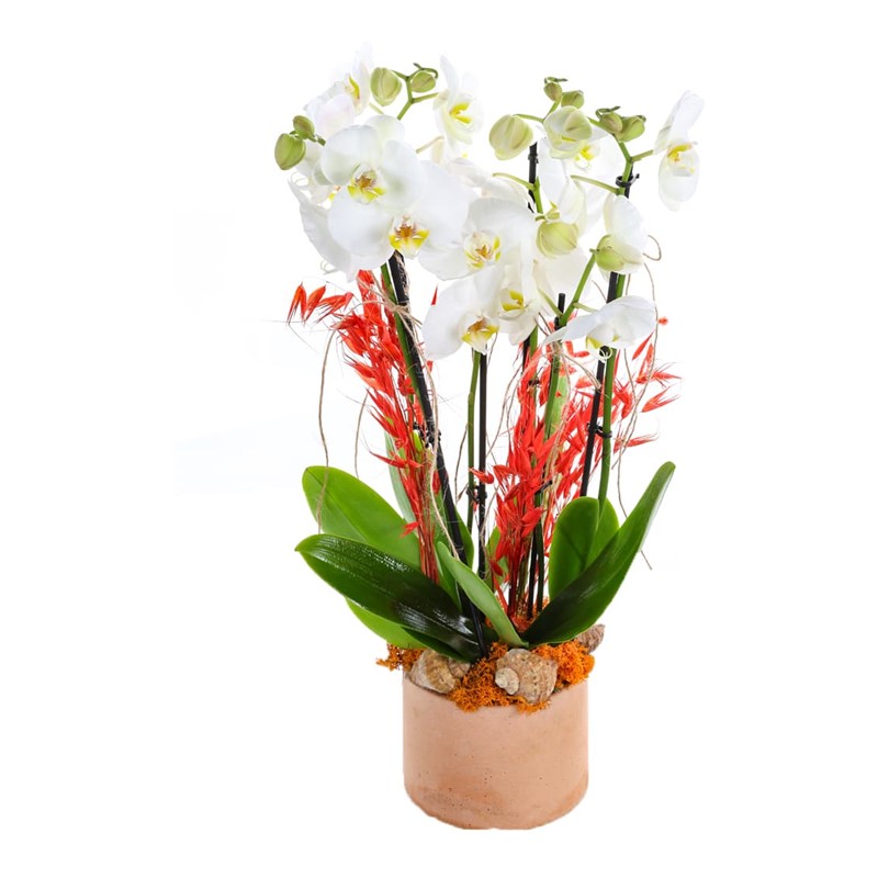 Bakır Design Six Bloom Orkide