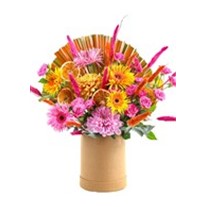 Colorful In Cream Box