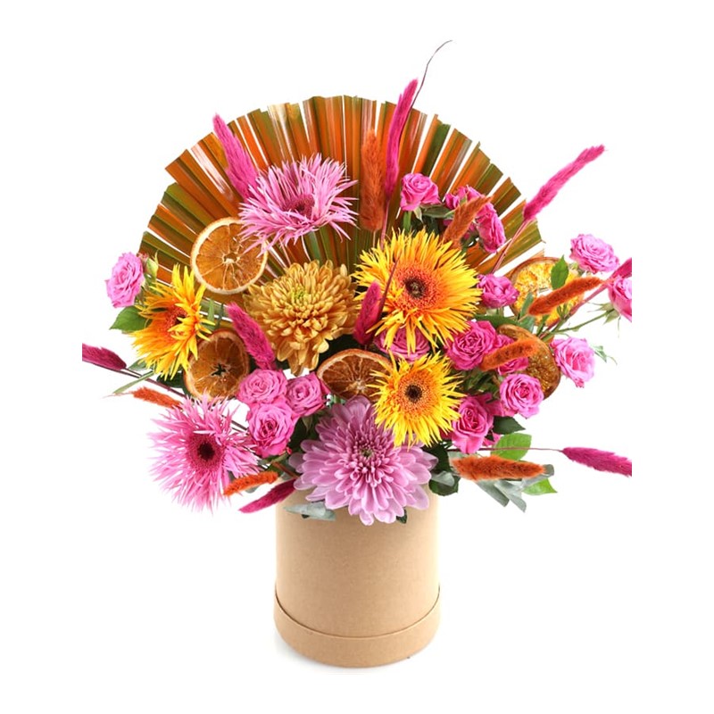 Colorful In Cream Box