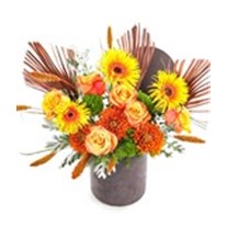 Orange Flowers In Gray Box