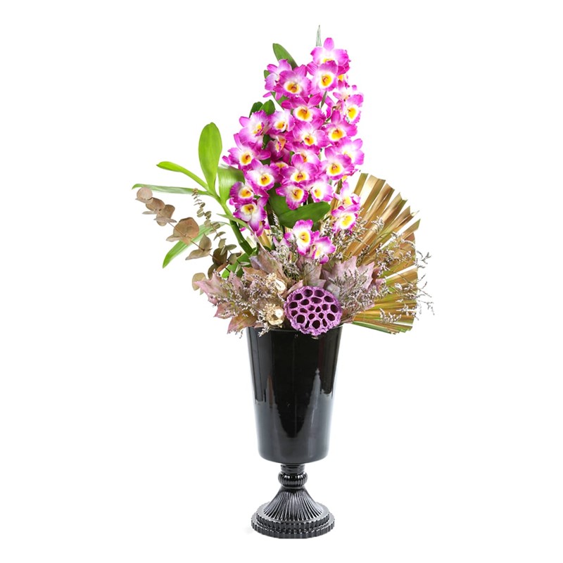 Black Of Dendrobium