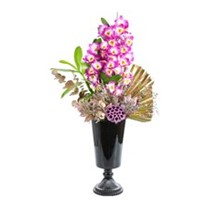 Black Of Dendrobium