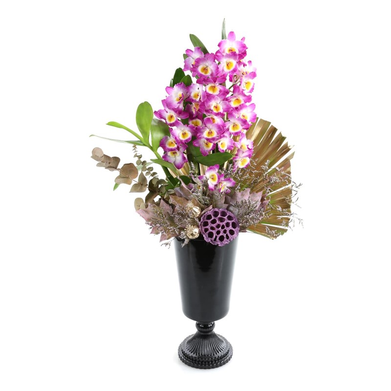 Black Of Dendrobium
