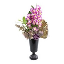 Black Of Dendrobium