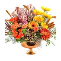 Luxury Mix Orange