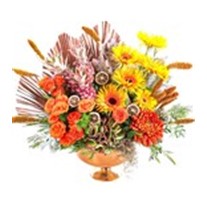 Luxury Mix Orange