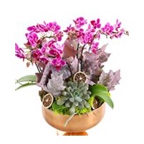 Purple Orchid Gold Vase