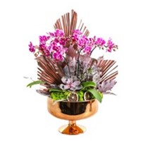 Mini Luxury Orchid