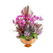 Mini Luxury Orchid