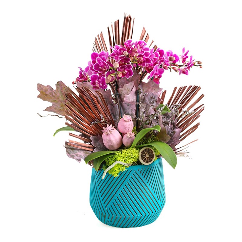 Turquoise Purple Love