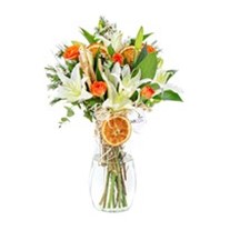 Orange Lily Dream