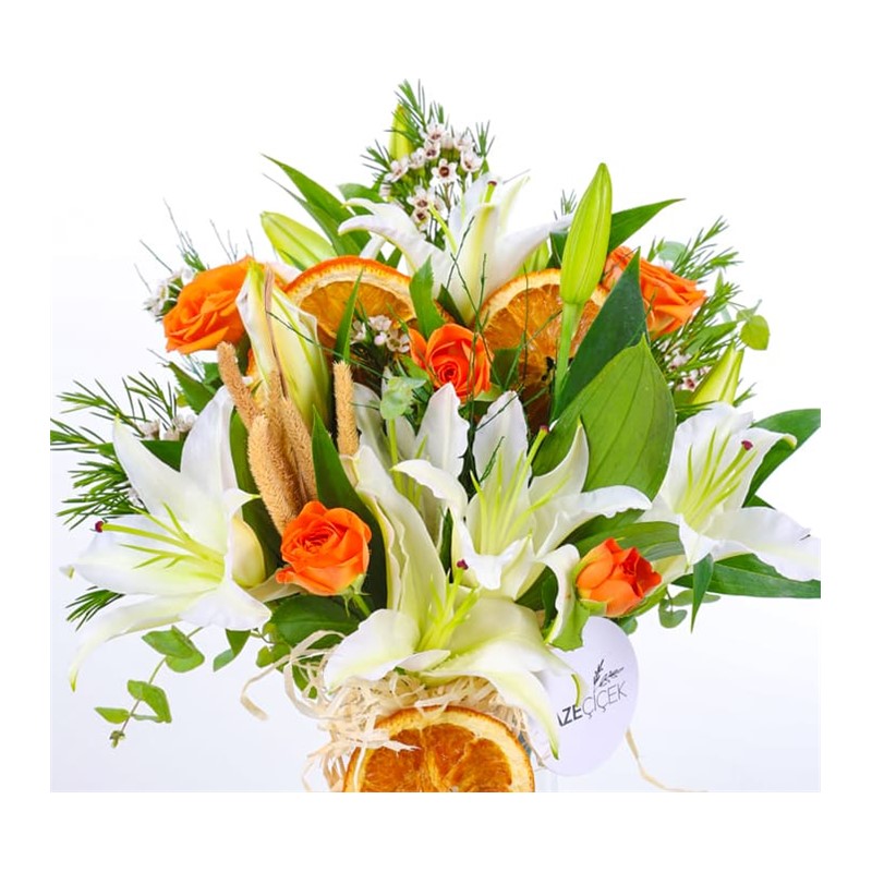 Orange Lily Dream