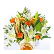 Orange Lily Dream