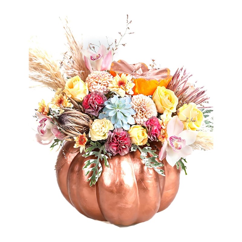 Salmon Pumpkin Show