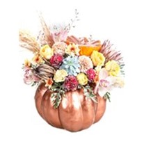 Salmon Pumpkin Show