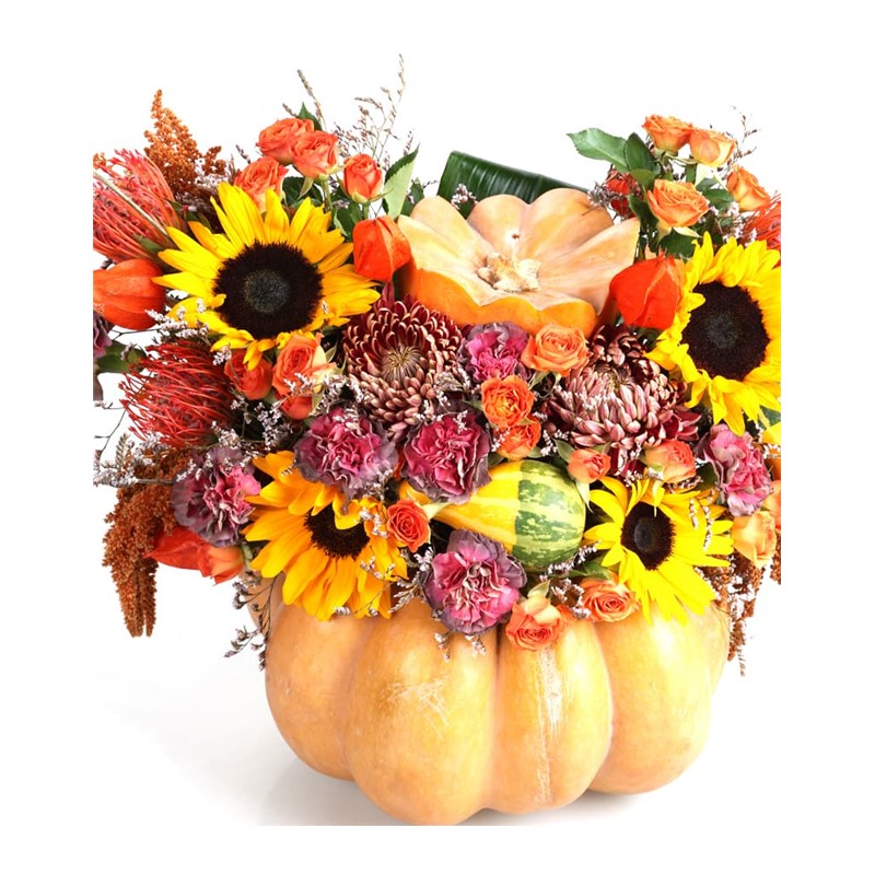 Orange Pumpkin Live