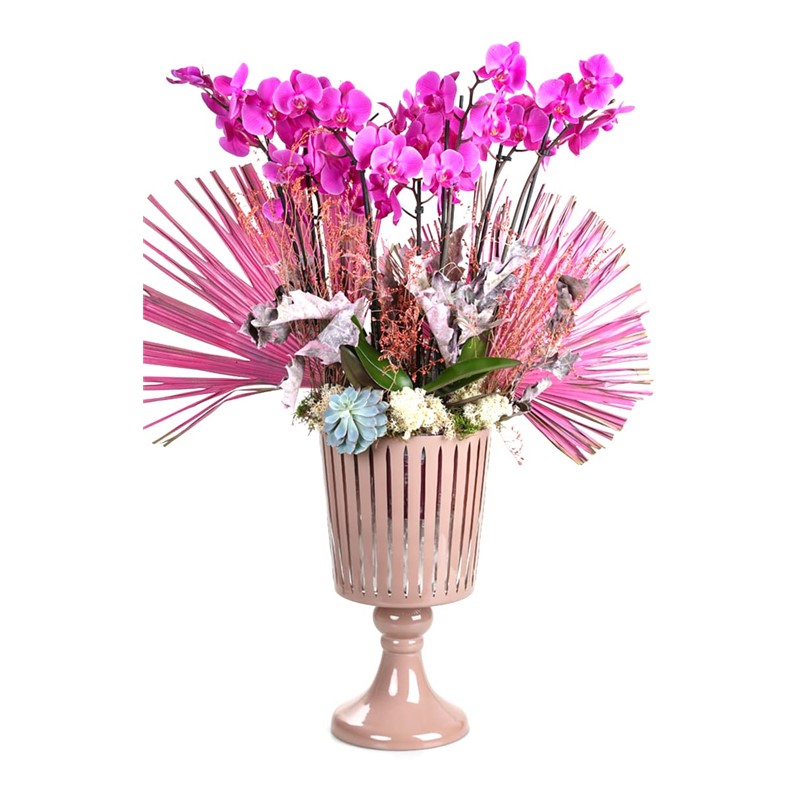 Bigger Pink Orchid