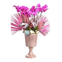 Bigger Pink Orchid