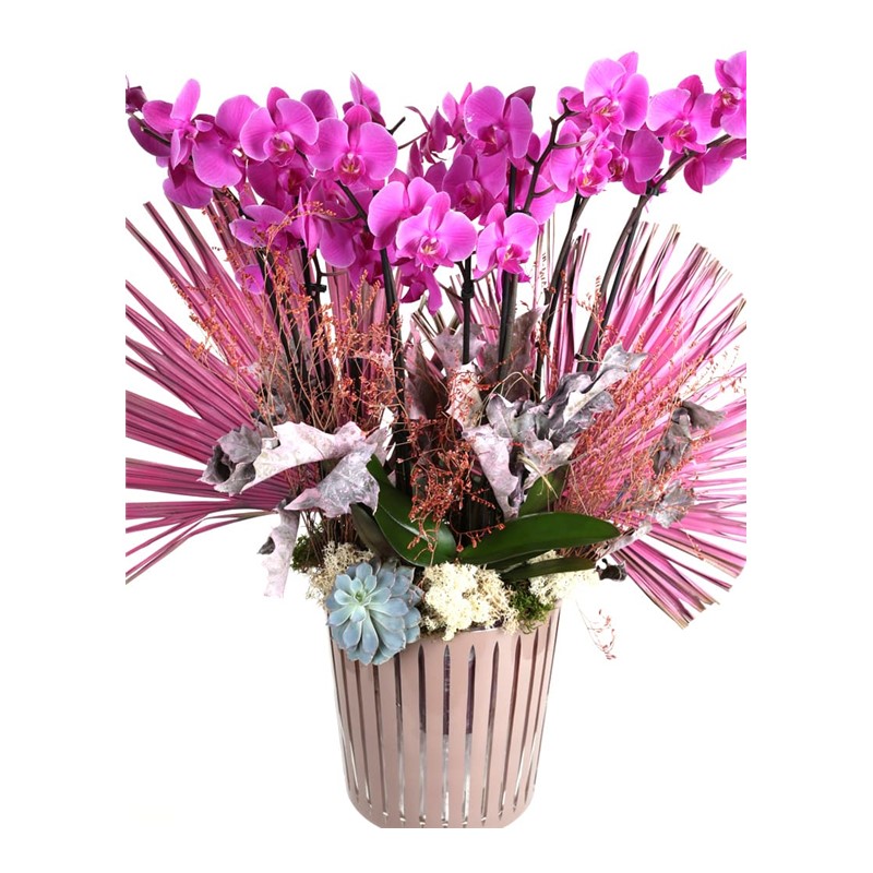 Bigger Pink Orchid