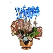 Blue Orchid In Gold Vase