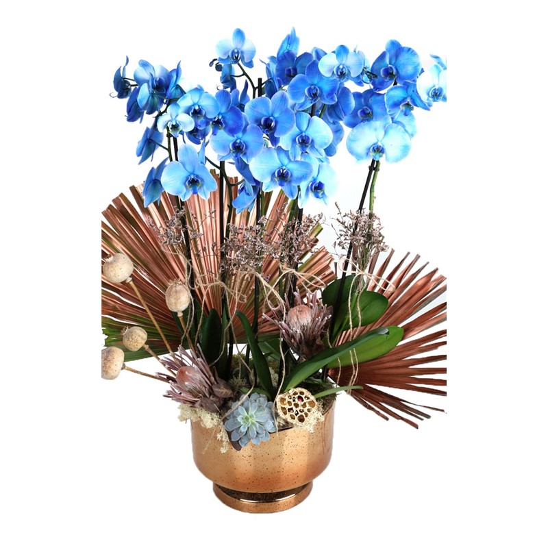Blue Orchid In Gold Vase