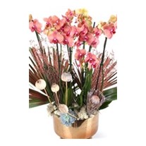 Luxury Orange Orchid Gold Vase