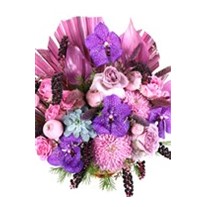 Luxury Vanda Vase