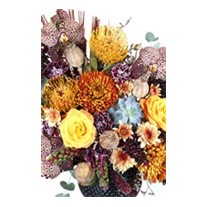 Black Of Simple Arrangement