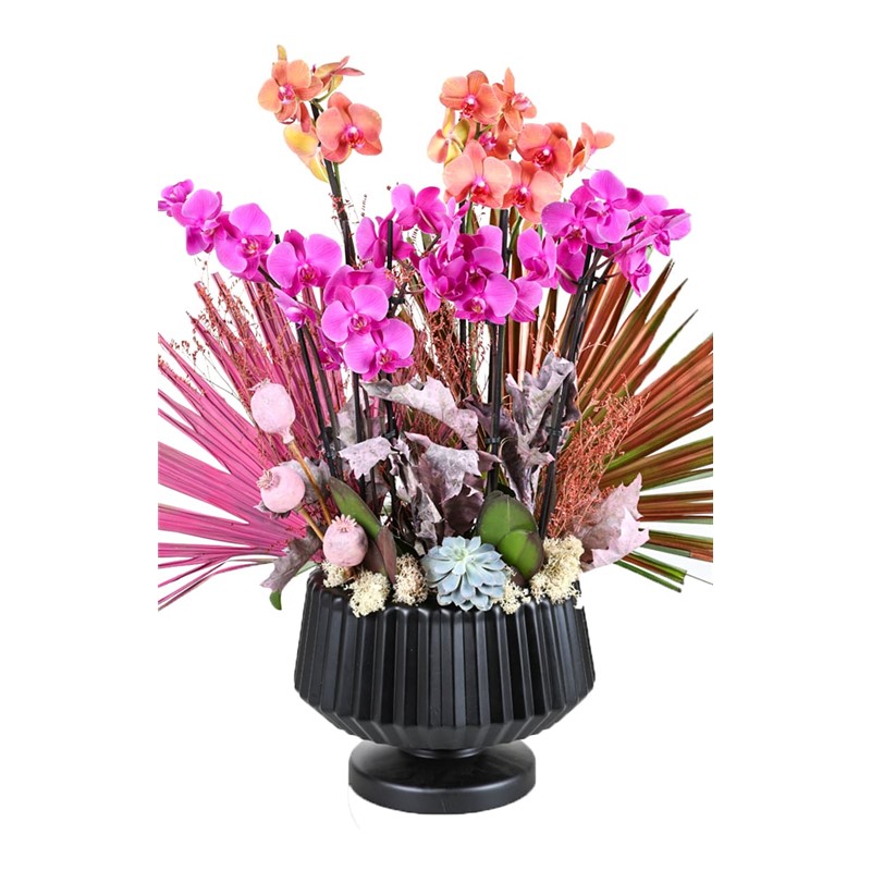 Pink & Orange Orchid
