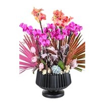 Pink & Orange Orchid