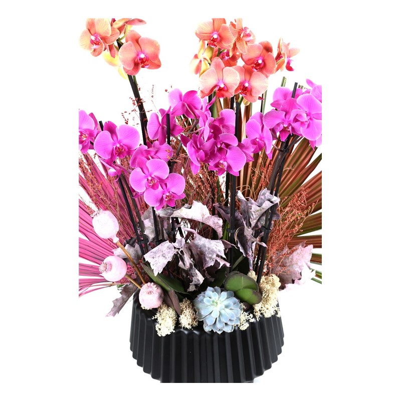 Pink & Orange Orchid