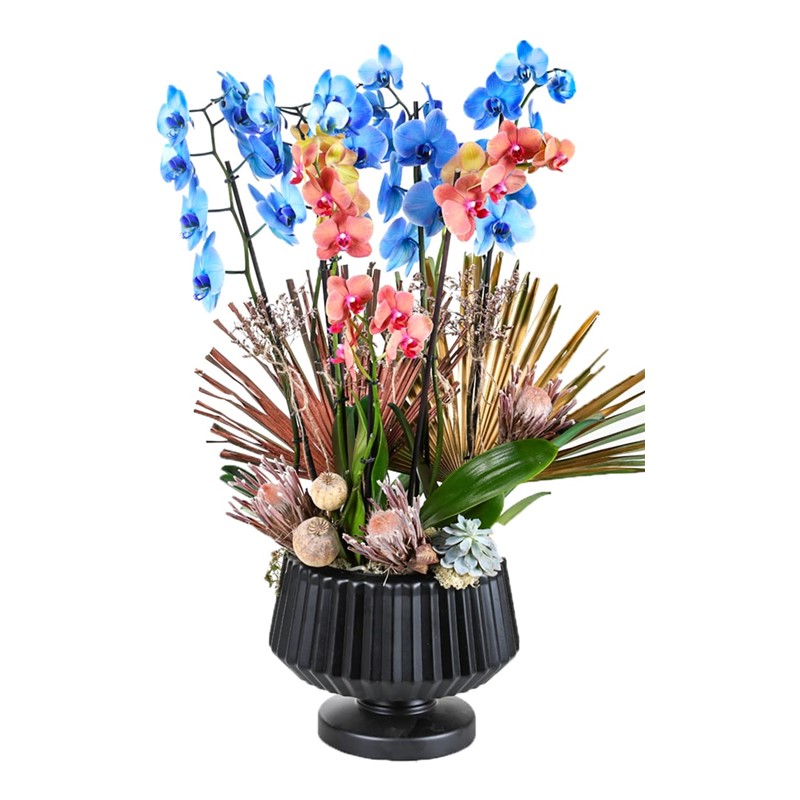 Blue & Orange Luxury Orchid