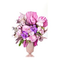 Shades Of Pink