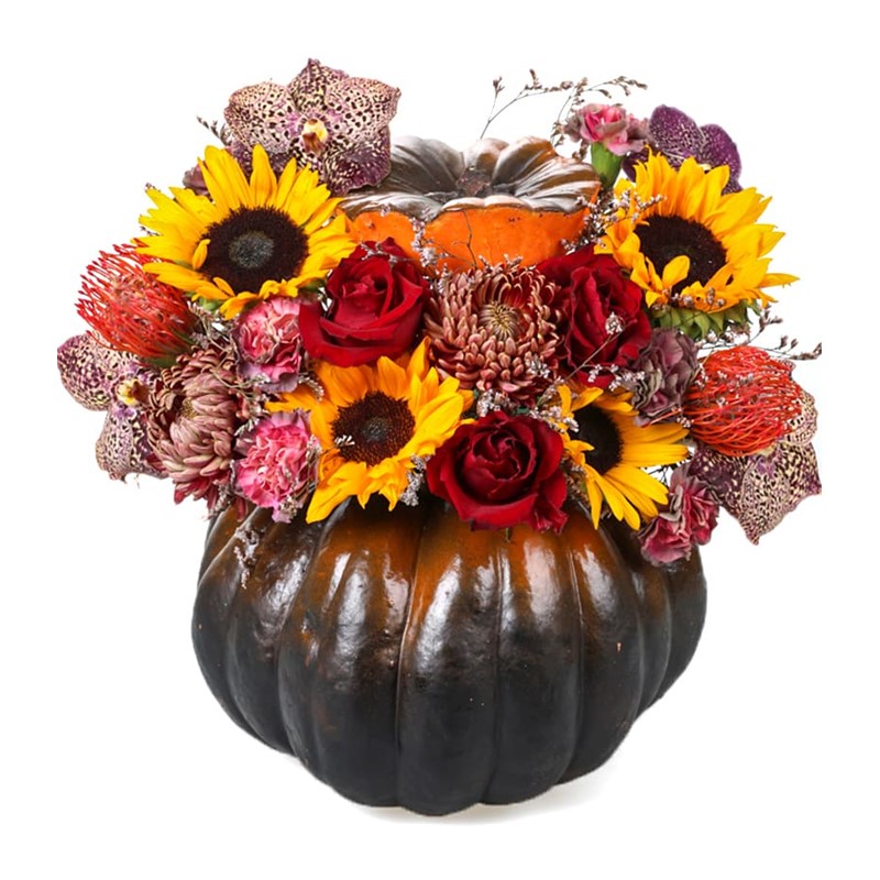 Sunflower Of Red Rose Pumpkin