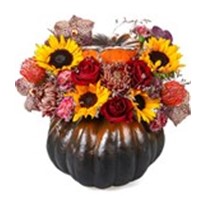 Sunflower Of Red Rose Pumpkin