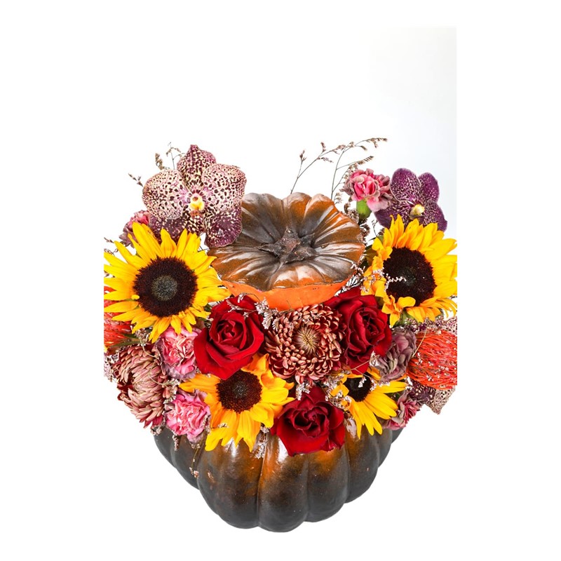 Sunflower Of Red Rose Pumpkin