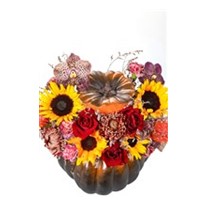Sunflower Of Red Rose Pumpkin