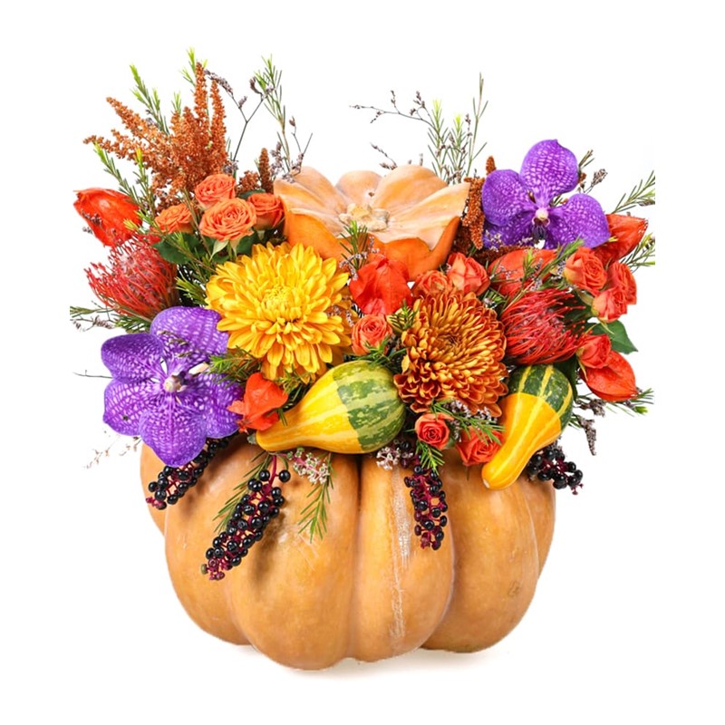 Purple Detail Orange Pumpkin