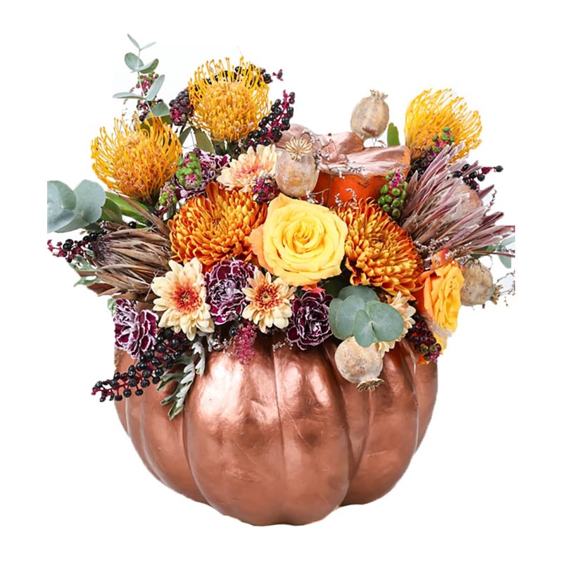 Bronze Pumpkin Show