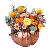Bronze Pumpkin Show