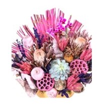 Pink Dry Flower