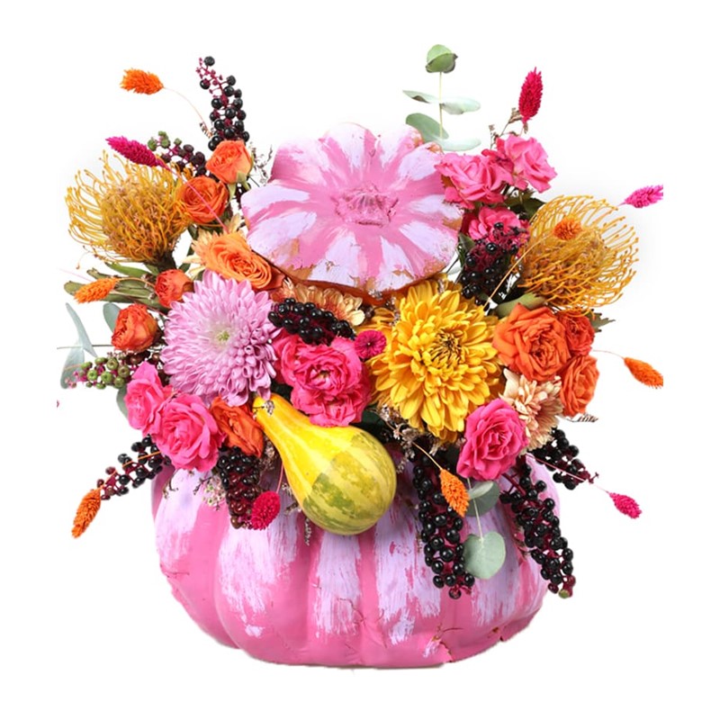 The Effect of Pink Pumpkin